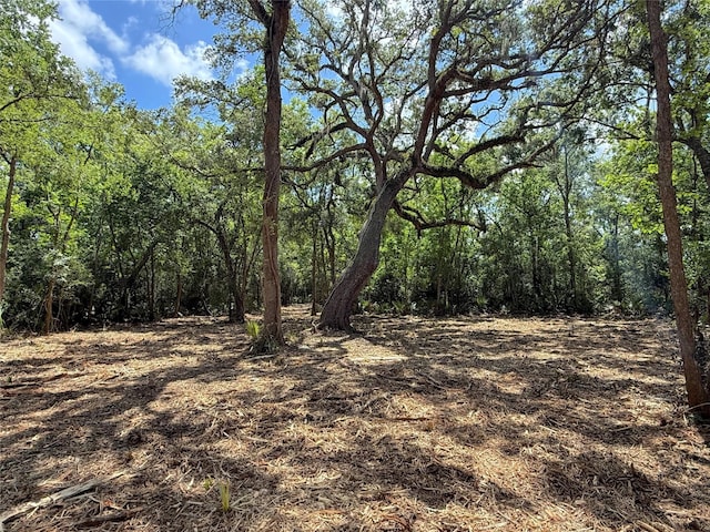 17480 County Road 945, Brazoria, TX 77422 - photo 7