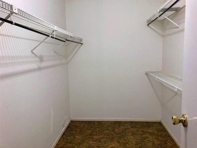 6602 Harbor Town Dr Unit 1008, Houston, TX 77036 - view of walk in closet