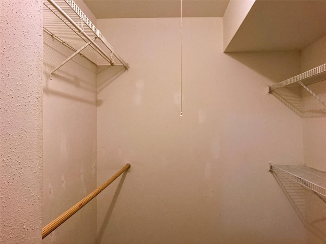 6602 Harbor Town Dr Unit 1008, Houston, TX 77036 - view of walk in closet