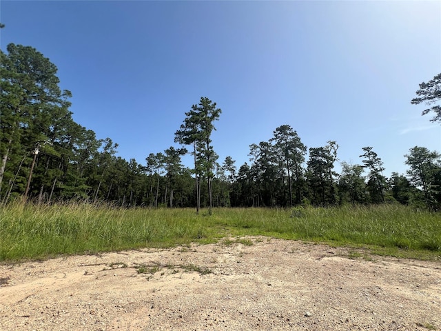 9537 State Highway 146 S, Livingston, TX 77351 - photo 1