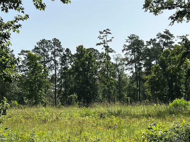 9537 State Highway 146 S, Livingston, TX 77351 - photo 2
