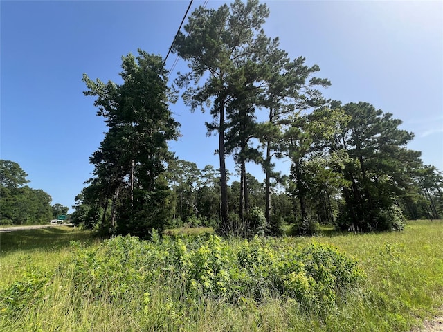 9537 State Highway 146 S, Livingston, TX 77351 - photo 3