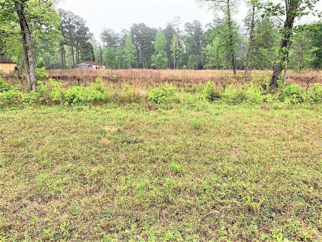 9537 State Highway 146 S, Livingston, TX 77351 - photo 5