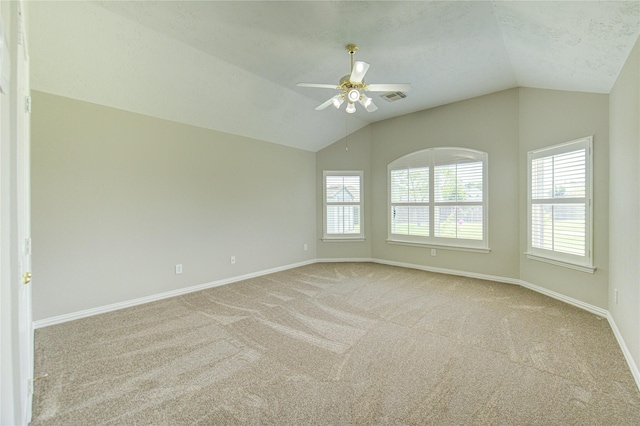 12603 Jasmine Hollow Ln, Houston, TX 77041 - photo 20