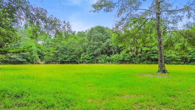 11270 Summit Dr, Conroe, TX 77303 - photo 29