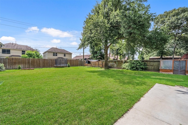 29518 Timber Trail St, Spring, TX 77386 - photo 41