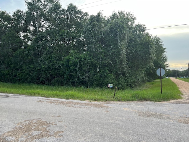 0 W 6th St, Sheridan, TX 77475 - photo 2