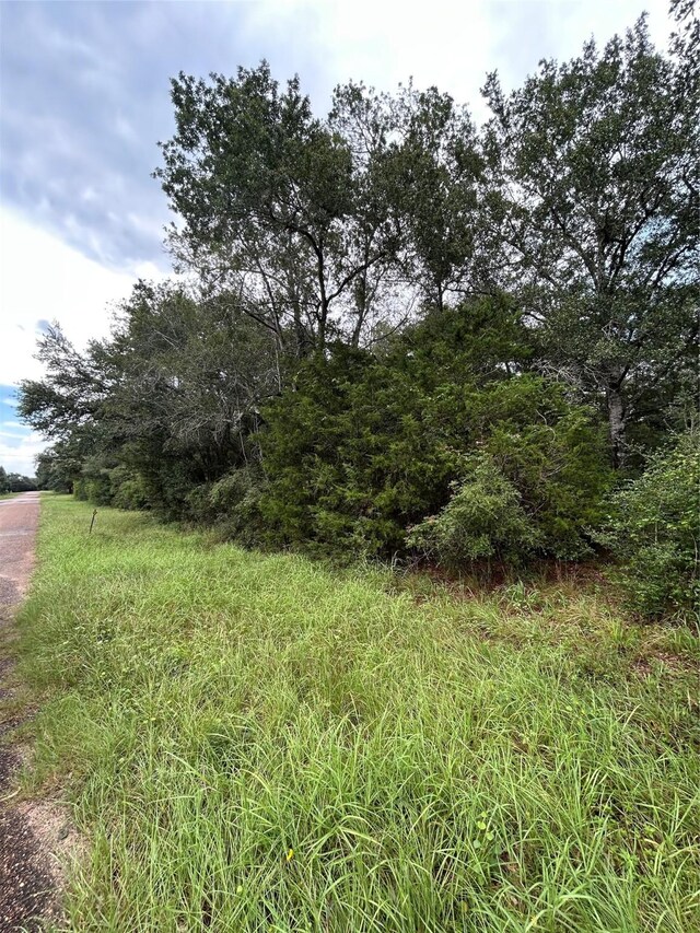 0 W 6th St, Sheridan, TX 77475 - photo 7