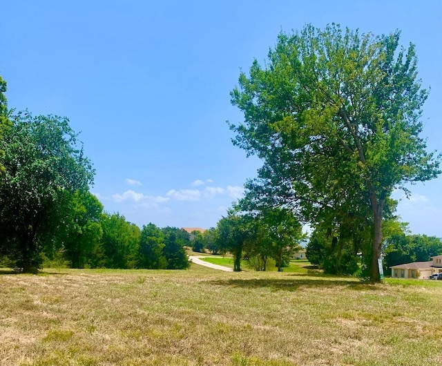129 Legacy Blvd, Point Blank, TX 77364 - photo 4