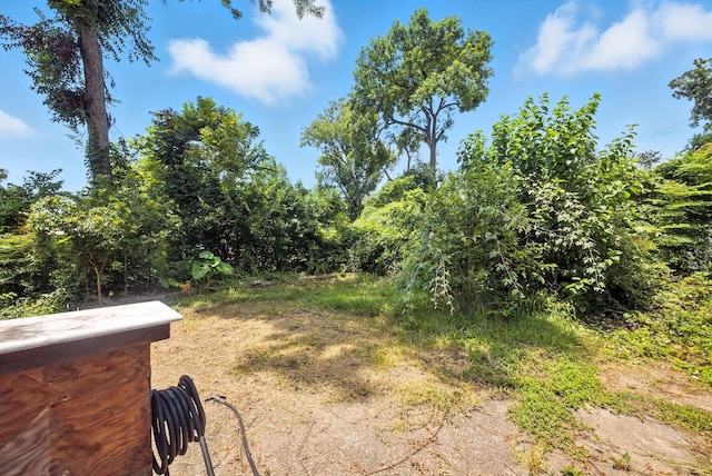 3819 Galway Ln, Houston, TX 77080 - view of yard