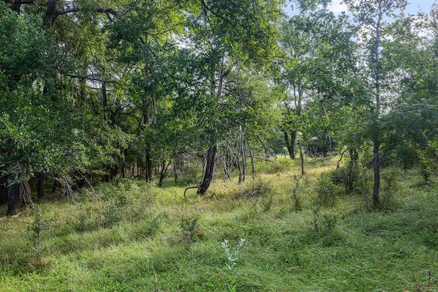 520-B Fm 1965, La Grange, TX 78945 - photo 8