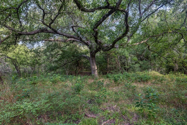 520-B Fm 1965, La Grange, TX 78945 - photo 9
