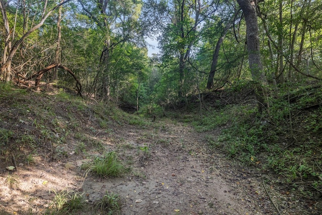 520-B Fm 1965, La Grange, TX 78945 - photo 16