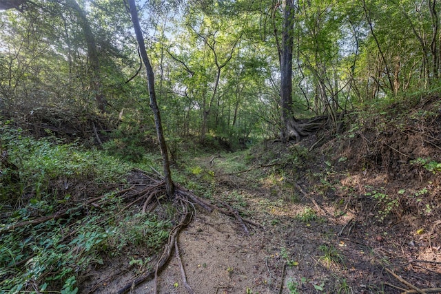 520-B Fm 1965, La Grange, TX 78945 - photo 15