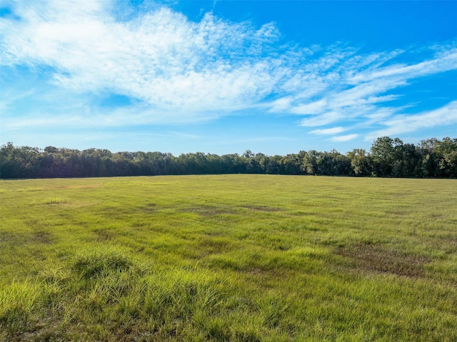 520-B Fm 1965, La Grange, TX 78945 - photo 19