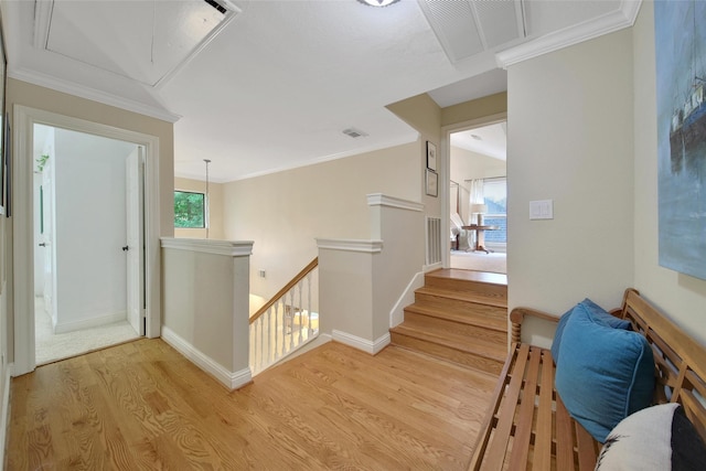 10 Featherfall Pl, Spring, TX 77381 - hallway with attic access, light wood-style floors, an upstairs landing, and ornamental molding