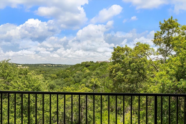 1889 Rush Crk, Canyon Lake, TX 78133 - photo 33