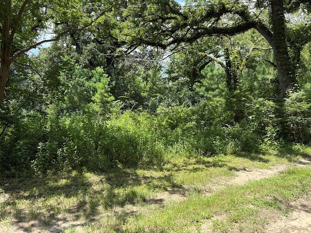 3100 N John Redditt Dr, Lufkin, TX 75904 - photo 3