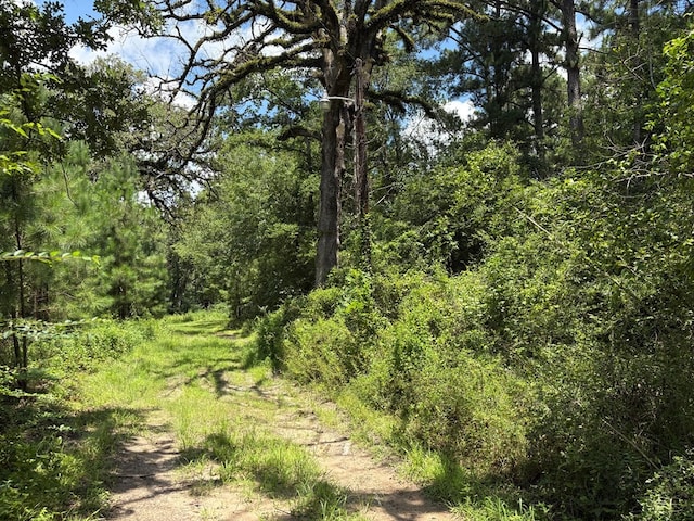 3100 N John Redditt Dr, Lufkin, TX 75904 - photo 4