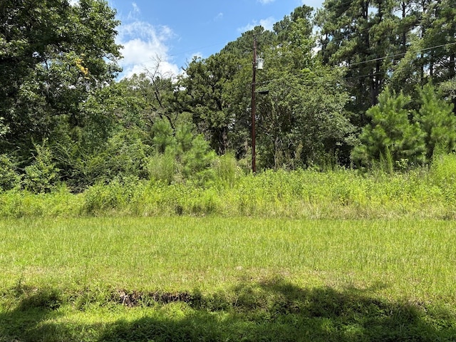 3100 N John Redditt Dr, Lufkin, TX 75904 - photo 5