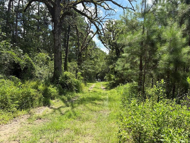 3100 N John Redditt Dr, Lufkin, TX 75904 - photo 6