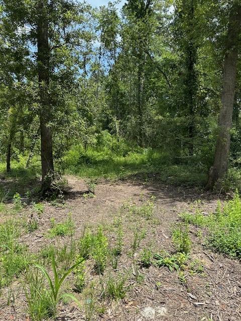 20295 Red Oak Ln, New Caney, TX 77357 - photo 3