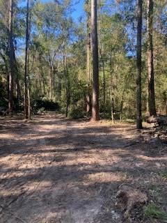 20295 Red Oak Ln, New Caney, TX 77357 - photo 7