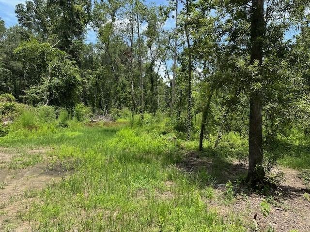 20295 Red Oak Ln, New Caney, TX 77357 - photo 1