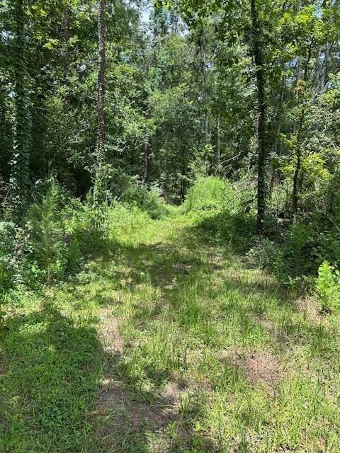 20295 Red Oak Ln, New Caney, TX 77357 - photo 2