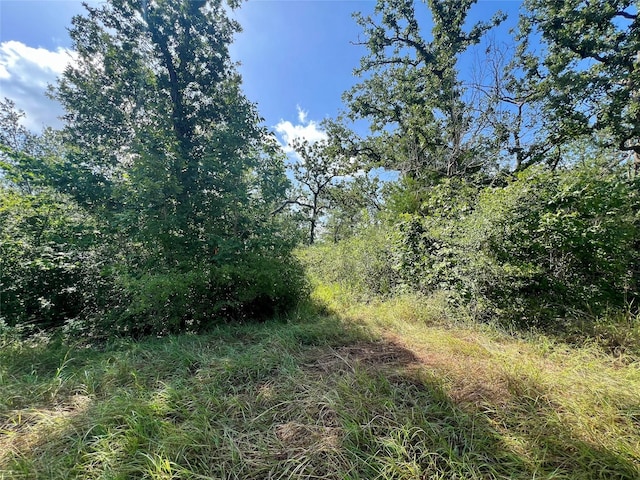990 Big Berry Rd, Somerville, TX 77879 - photo 1