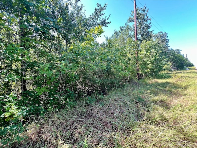 990 Big Berry Rd, Somerville, TX 77879 - photo 2