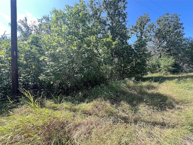 990 Big Berry Rd, Somerville, TX 77879 - photo 5