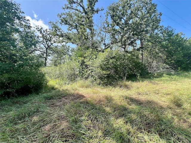 990 Big Berry Rd, Somerville, TX 77879 - photo 6