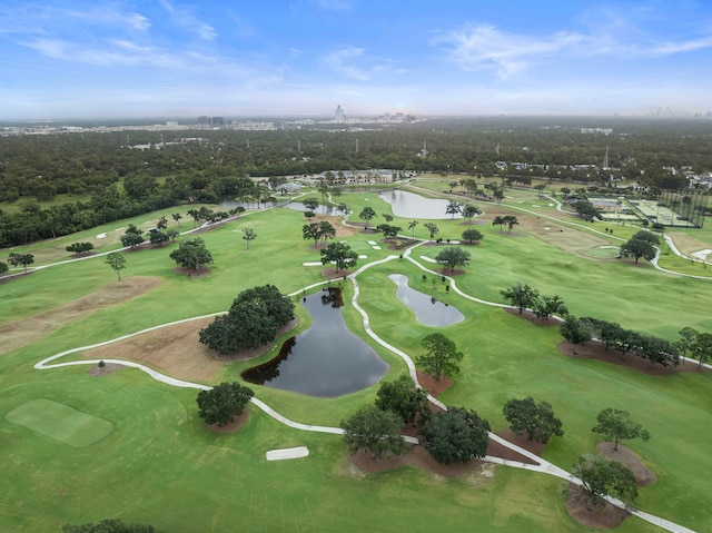 14006 Memorial Reserve Pl, Houston, TX 77079 - photo 42
