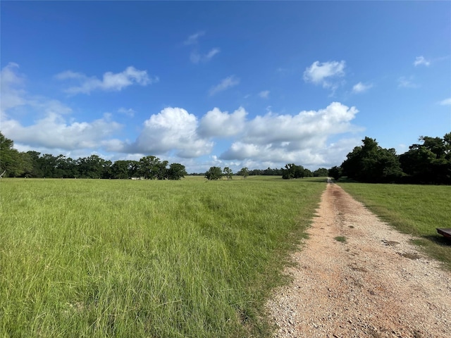 TBD County Road 114, Centerville, TX 75833 - photo 2