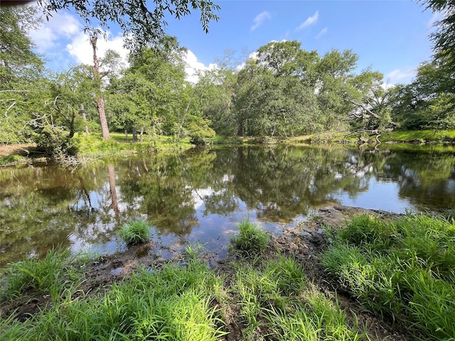 TBD County Road 114, Centerville, TX 75833 - photo 4