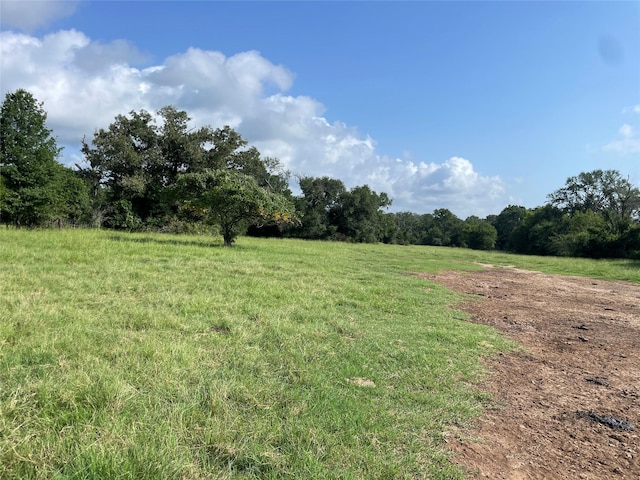 TBD County Road 114, Centerville, TX 75833 - photo 5