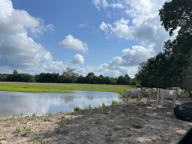 TBD County Road 114, Centerville, TX 75833 - photo 9