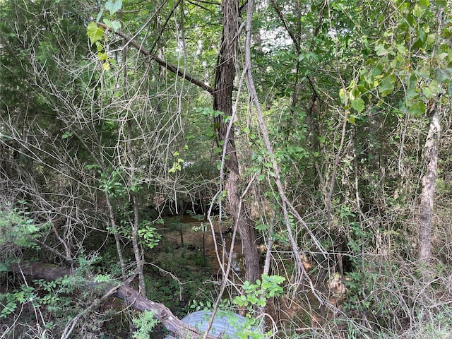 TBD County Road 114, Centerville, TX 75833 - photo 11