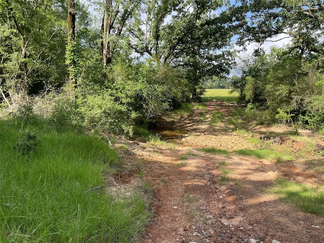 TBD County Road 114, Centerville, TX 75833 - photo 12