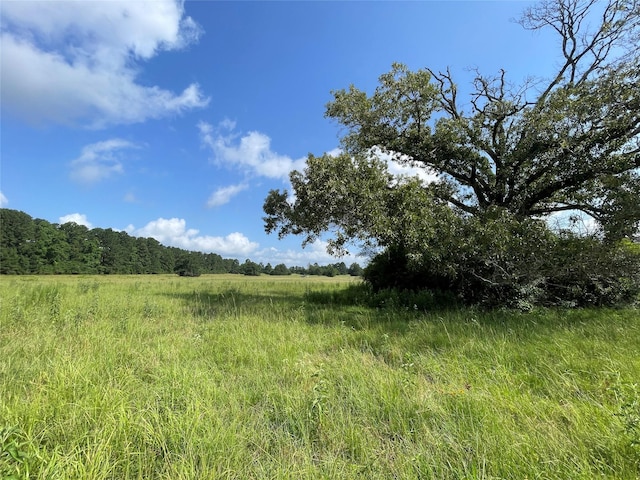 TBD County Road 114, Centerville, TX 75833 - photo 19
