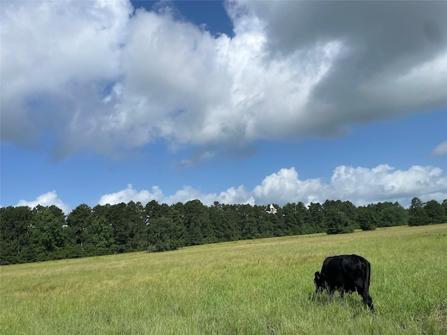 TBD County Road 114, Centerville, TX 75833 - photo 23