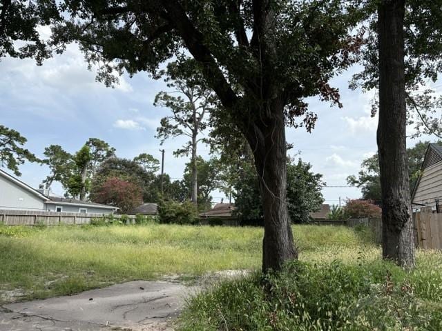 10031 Cedardale Dr, Houston, TX 77055 - photo 3