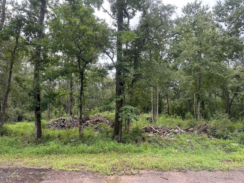 LOT8 Redbud Dr, Conroe, TX 77302