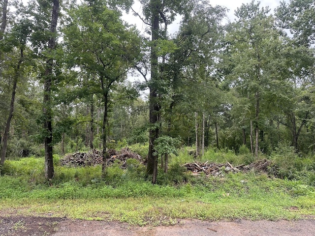 LOT8 Redbud Dr, Conroe, TX 77302