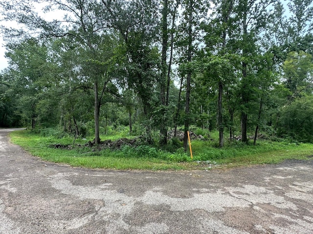 LOT8 Redbud Dr, Conroe, TX 77302