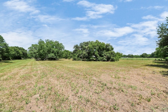 18011 Jungman Rd, Damon, TX 77430 - photo 37
