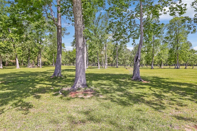 402 Rocky Ridge Dr, Anahuac, TX 77514 - photo 3