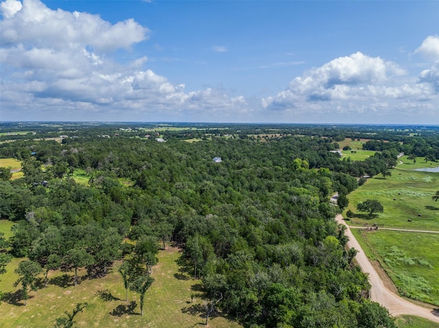 TBD Homestead Ln, Burton, TX 77835 - photo 1