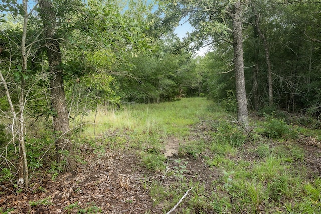 TBD Homestead Ln, Burton, TX 77835 - photo 4